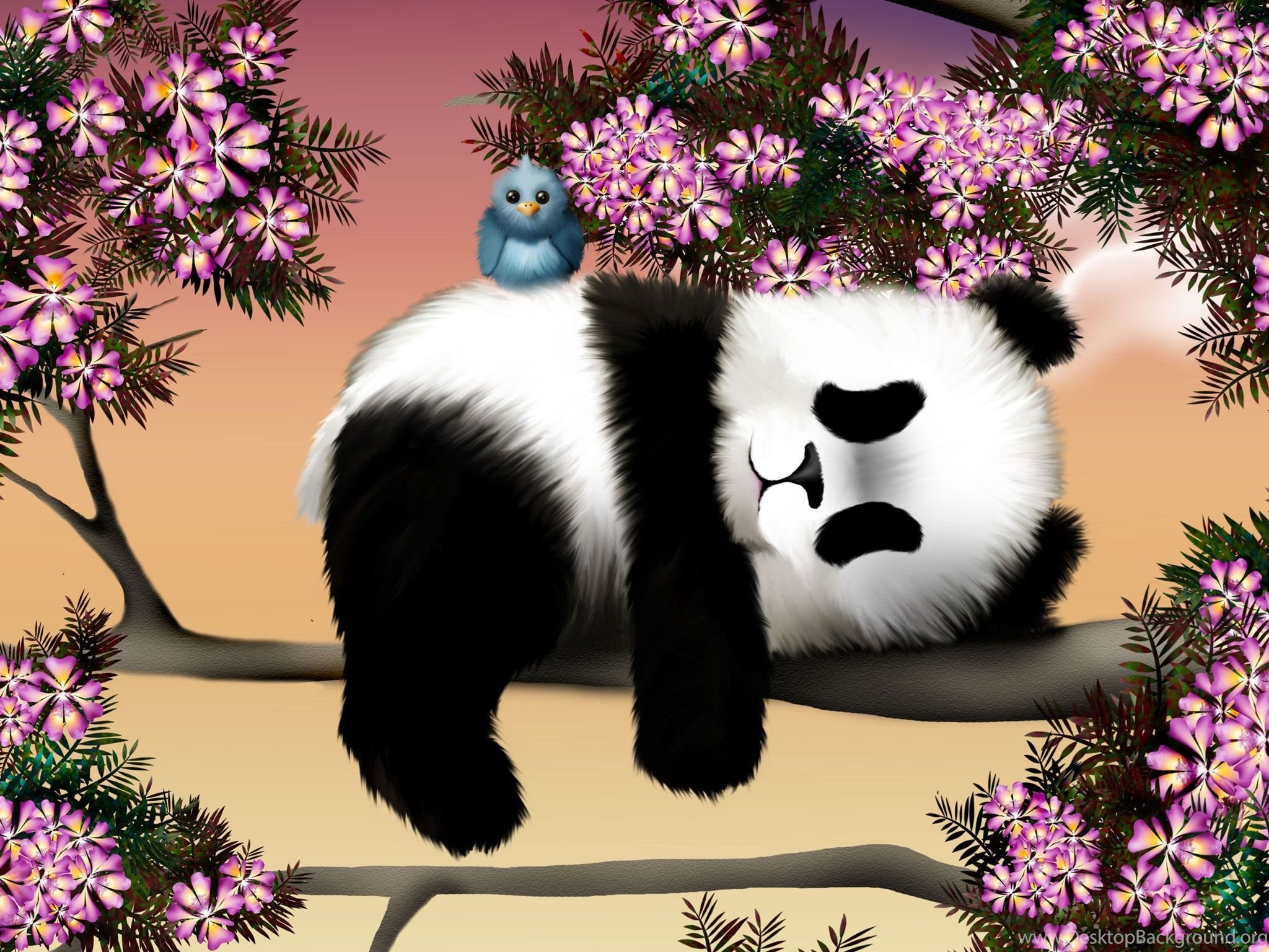  Free  Wallpapers  Panda  Is Relaxing On The Tree 2048x1536 