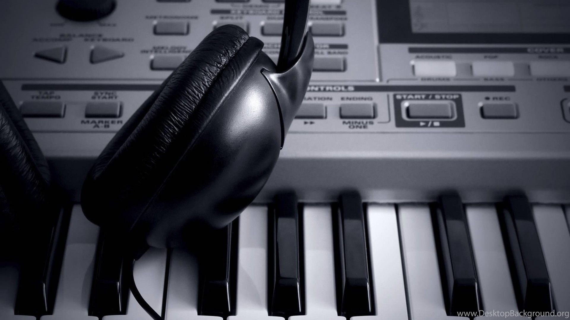 Synthesizer headphone online