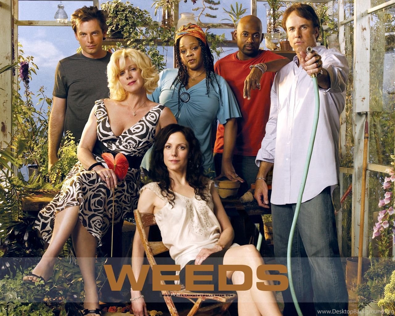 Weeds Wallpapers Desktop Background