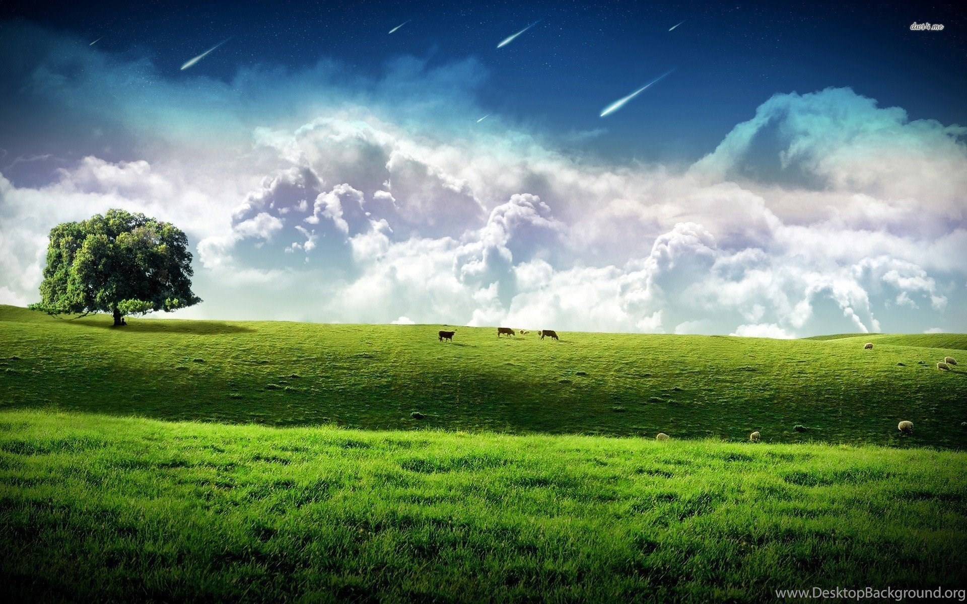 Green Field Wallpapers Fantasy Wallpapers Desktop Background