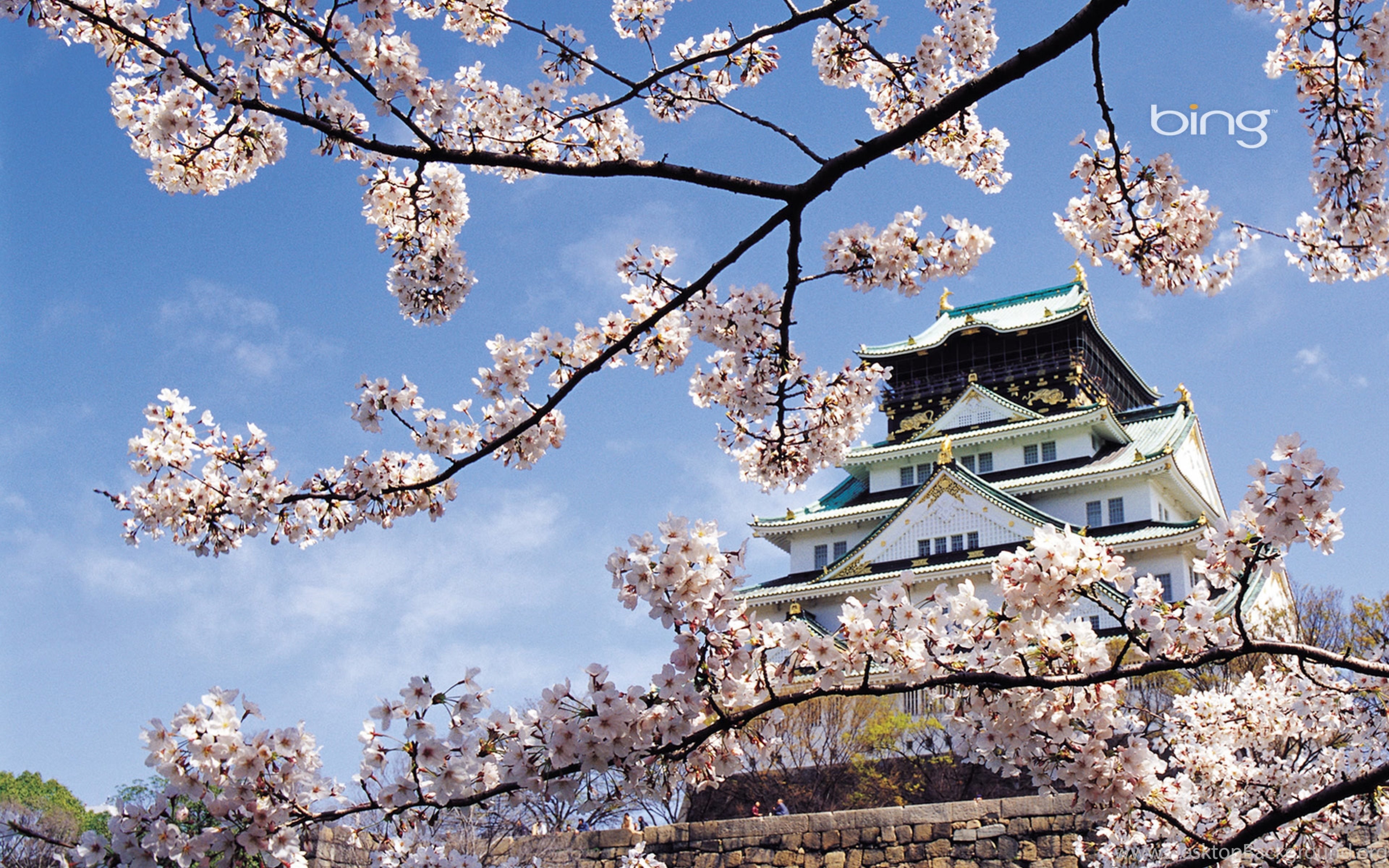 Download Wallpapers 3840x2400 Spring Cherry Blossom Palace Desktop Background