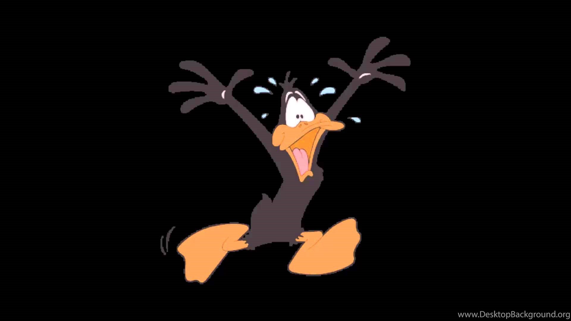 Youtube discount daffy duck