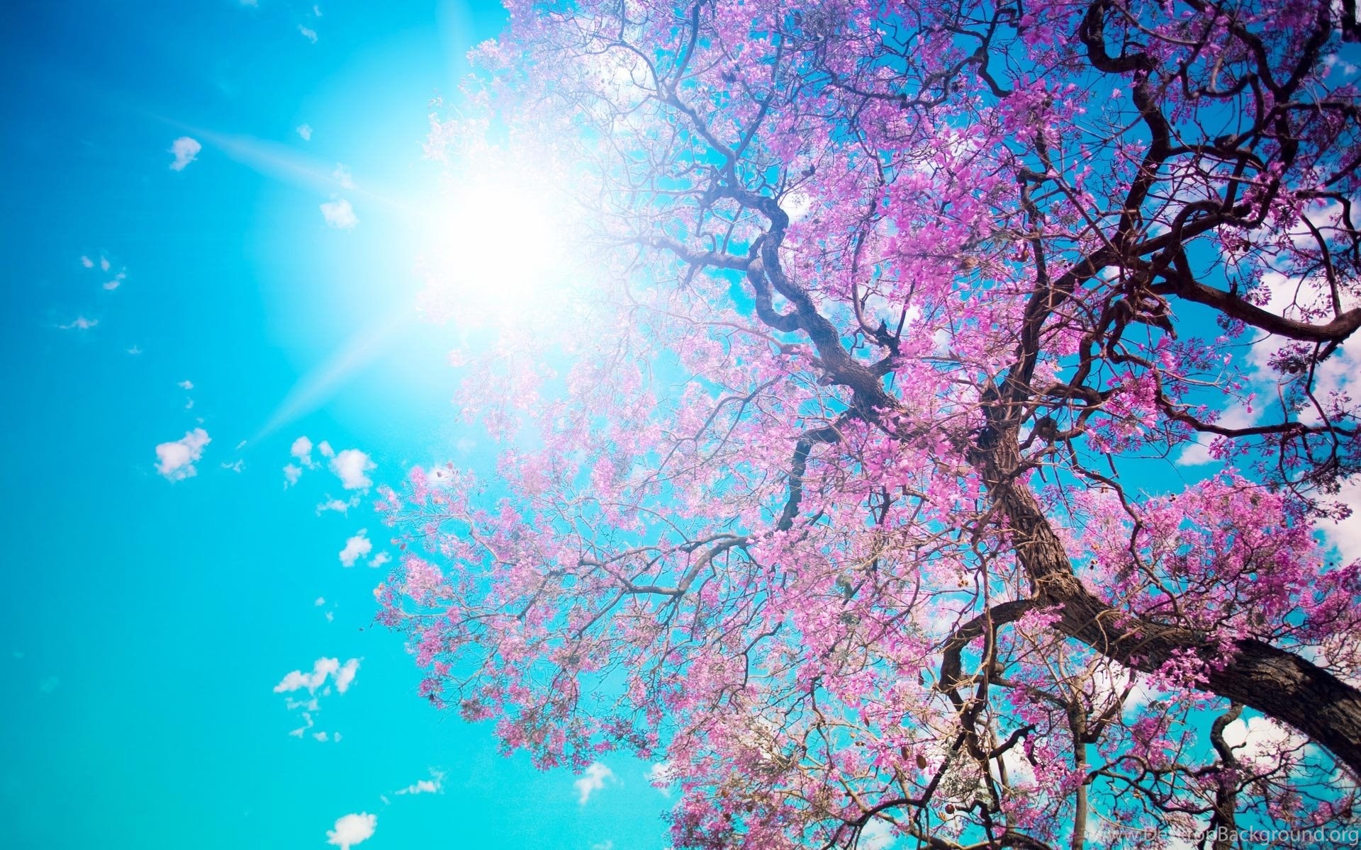 Spring Desktop Backgrounds Hd High Resolution Images Free Desktop Background