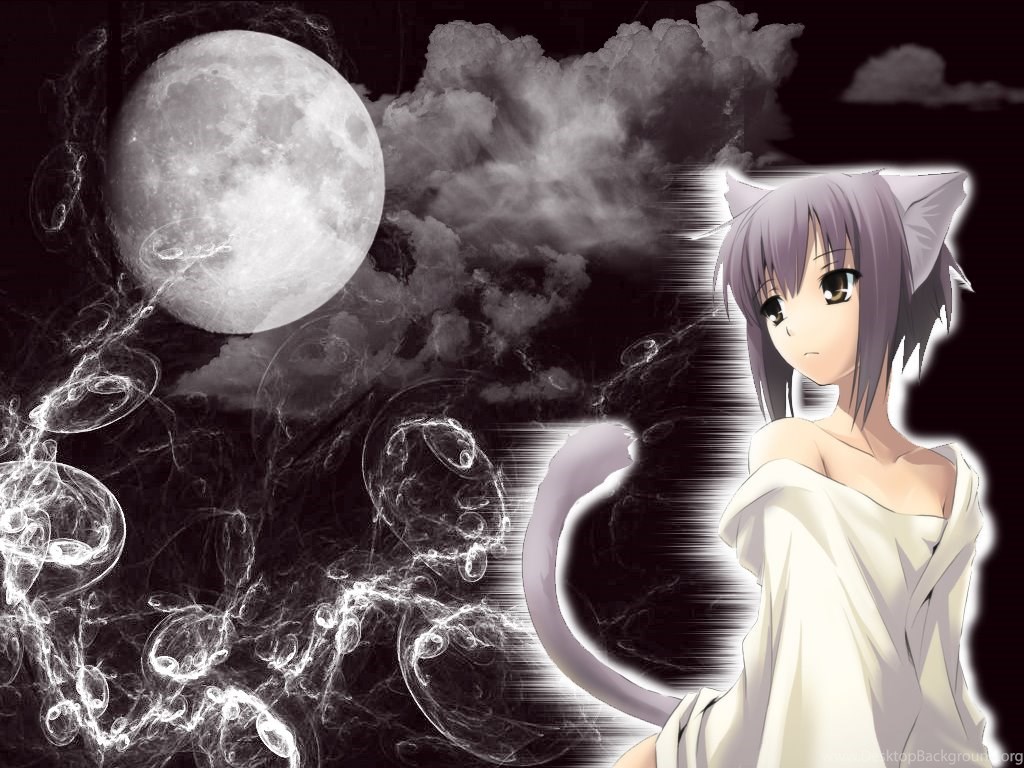 Anime Neko Wallpapers Wallpapers Zone Desktop Background