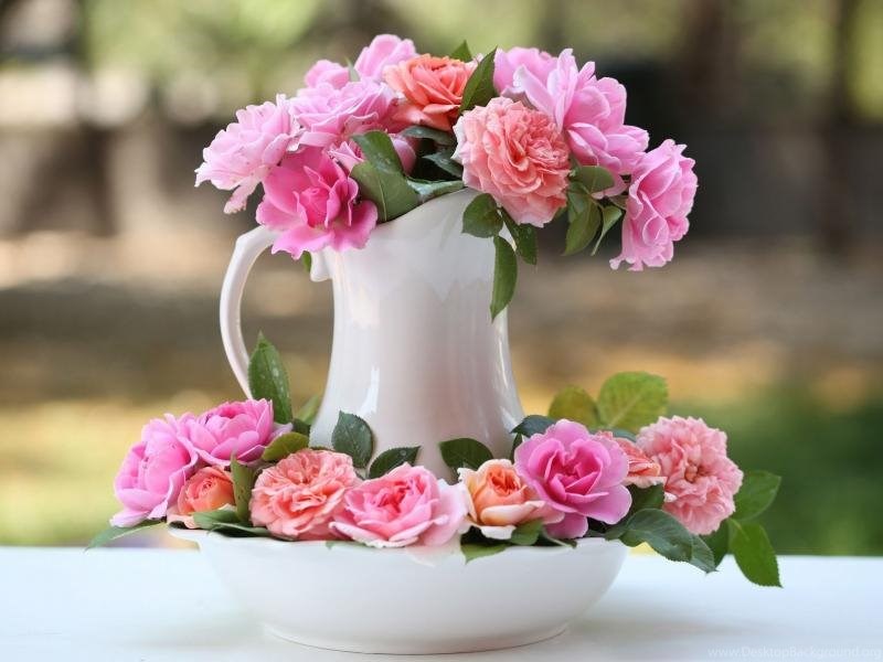 Vase, Pink Rose Flowers, Bokeh Wallpaper,Vase HD Wallpaper,Pink HD