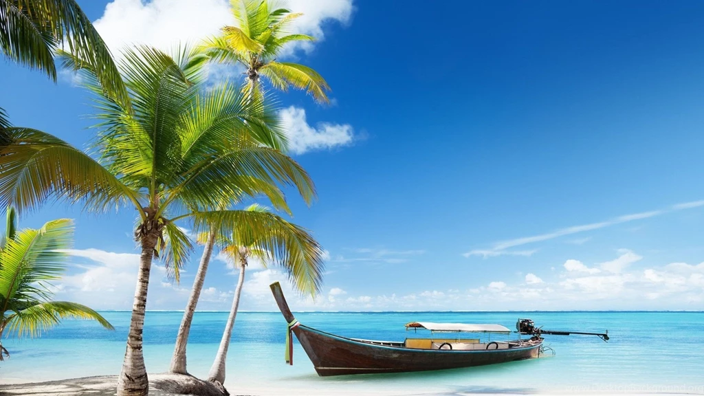 Palm Trees Wallpapers