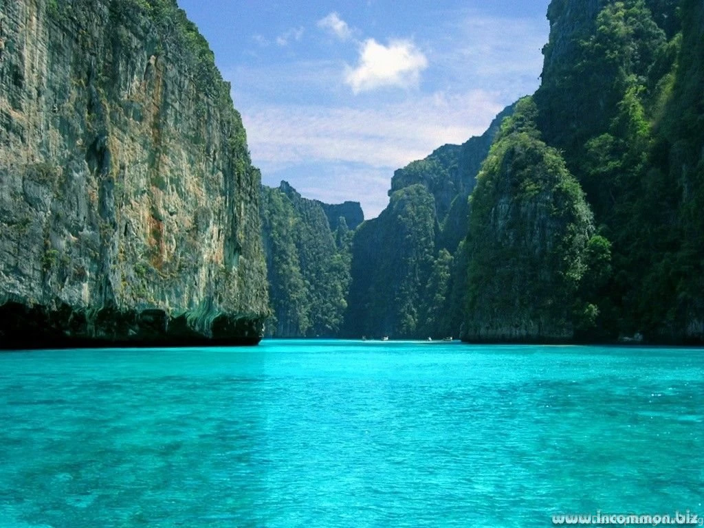 Wallpapers Desktop_hd Wallpaper_download Free Wallpapers