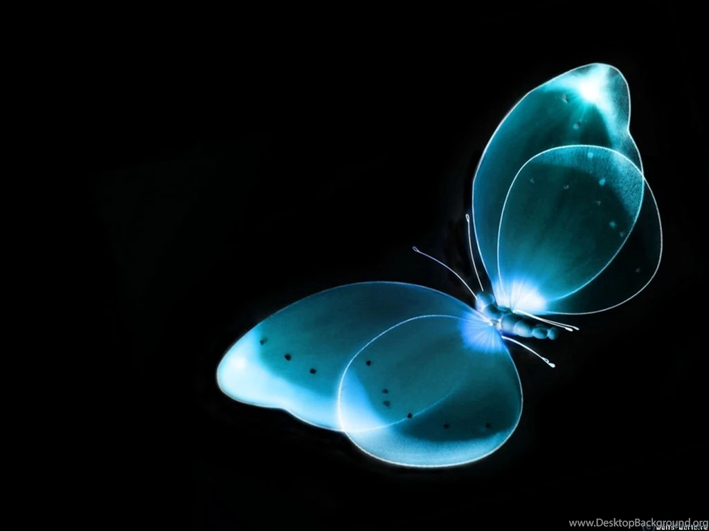 Bluebutterflyblackdesktopwallpapers Wallpapers For Desktop