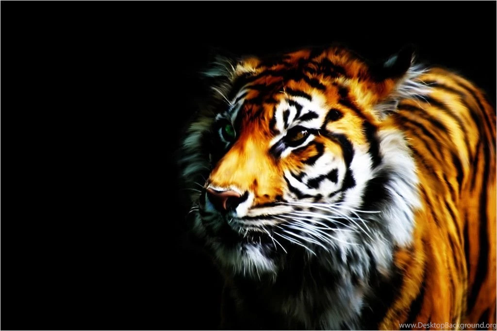 Tiger Desktop Backgrounds 1024x682.jpg