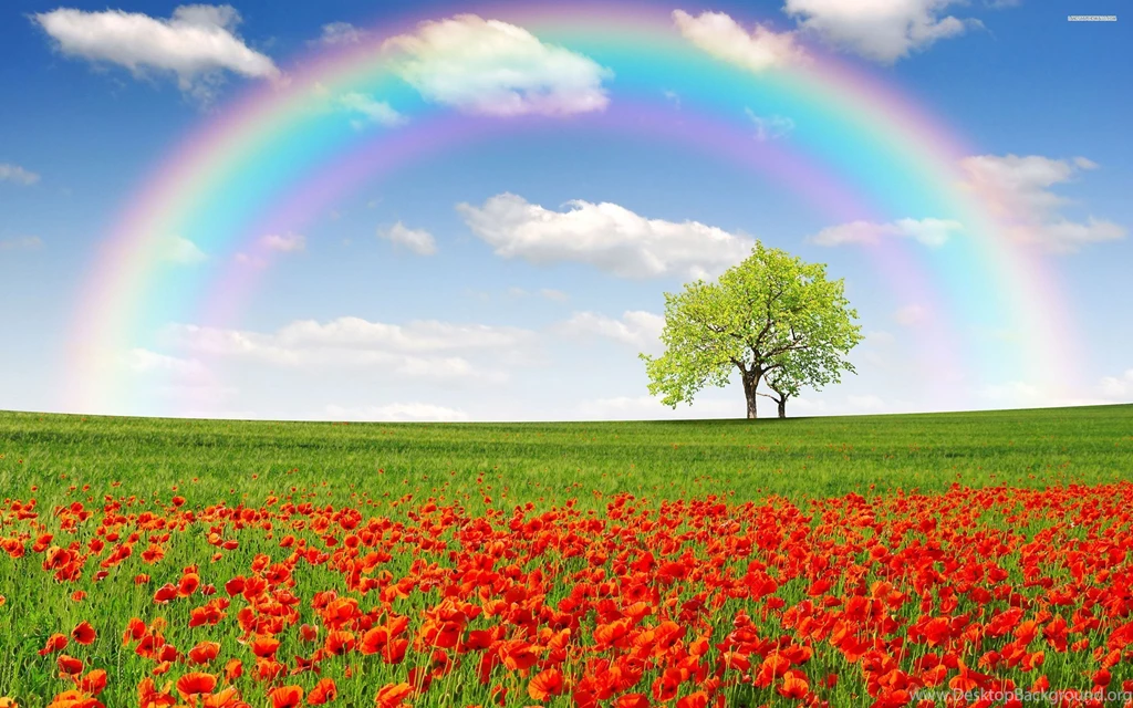 Rainbow Wallpapers High Definition