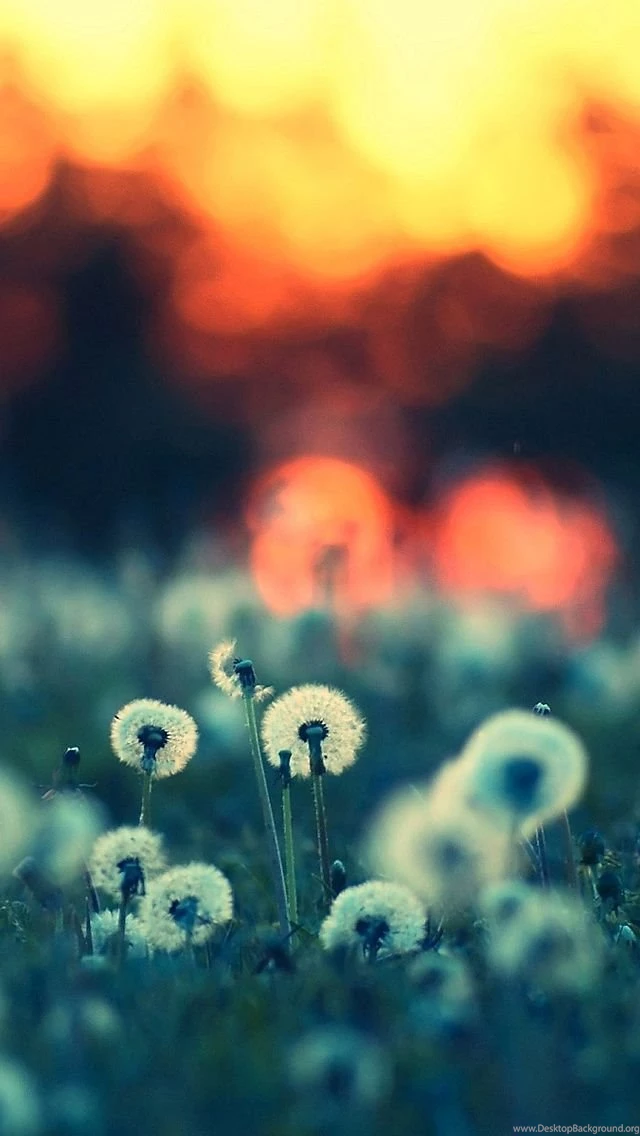 Iphone5 hd wallpapers landscape.jpg