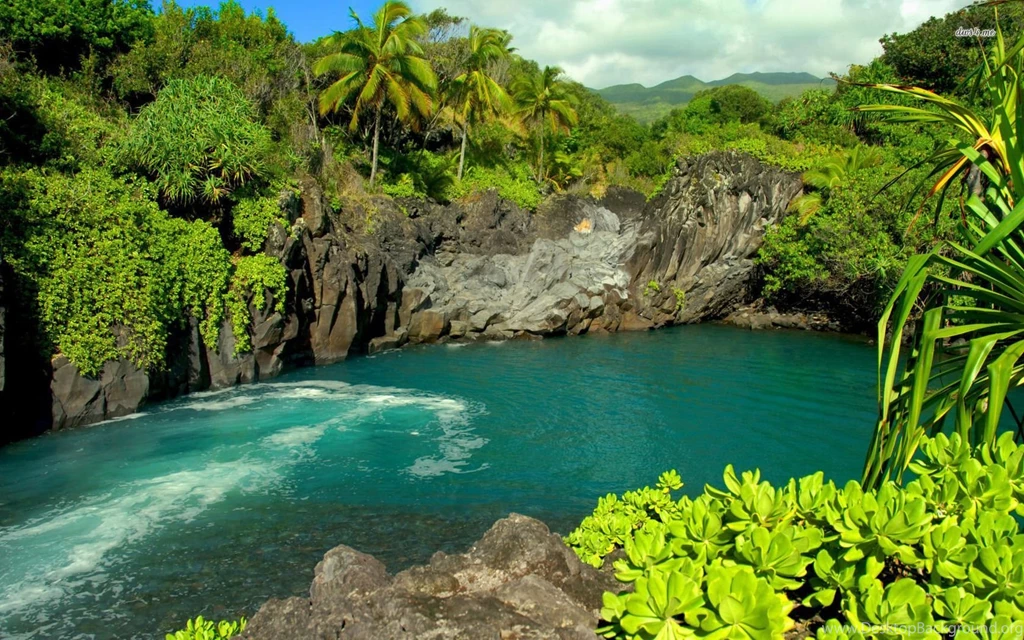 Lagoon In Maui, Hawaii Wallpapers Nature Wallpapers