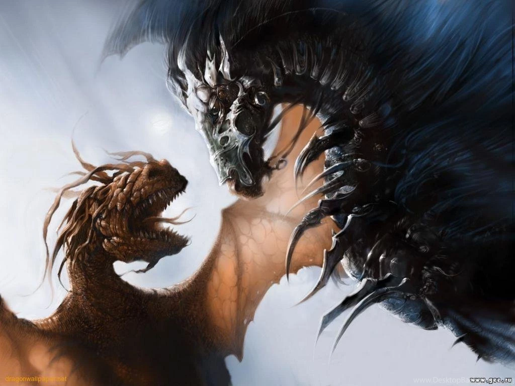 Dragon Backgrounds