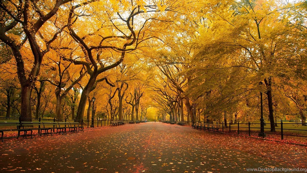 Full Wallpapers 1080p Desktop 4.jpg