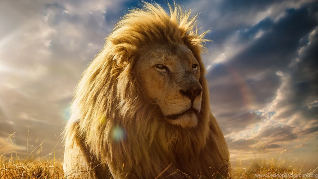 Download Wallpapers 3840x2160 Lion, King Of Beasts, Mane, Savannah ...
