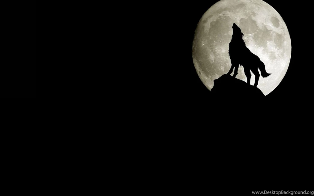 3D Wolf Wallpapers 1920x1200 Wallpapers, 1920x1200 Wallpapers ...