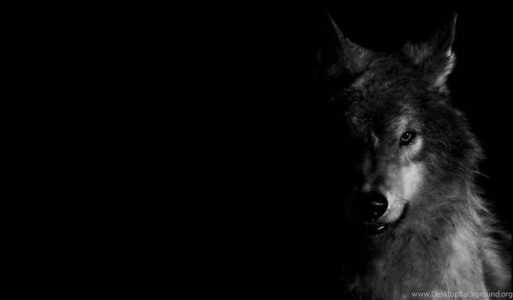 Wolf Backgrounds Quotes. QuotesGram Desktop Background