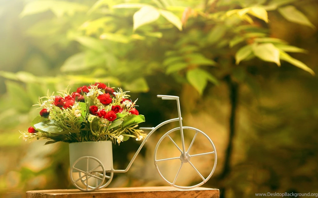 Beautiful Flower Wallpapers For Your Desktop