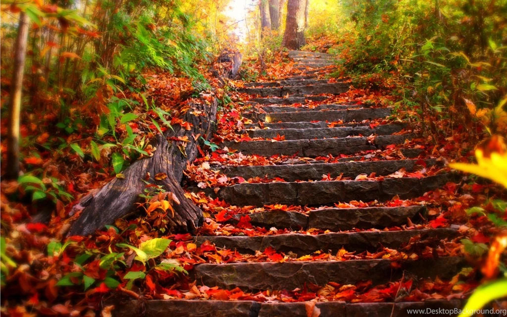 Fall Wallpapers Desktop Backgrounds