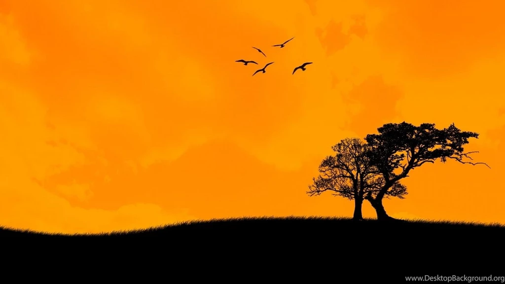 1600x900 Sunset Art Backgrounds Wallpapers