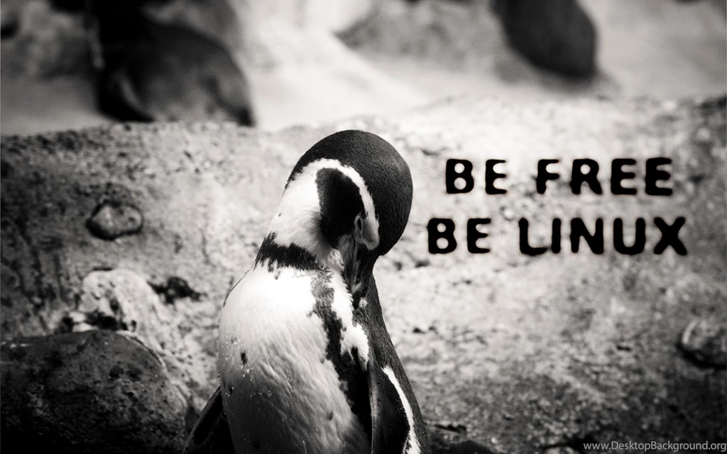 All You Need Is Bash Computer Wallpapers, Desktop Backgrounds ...
