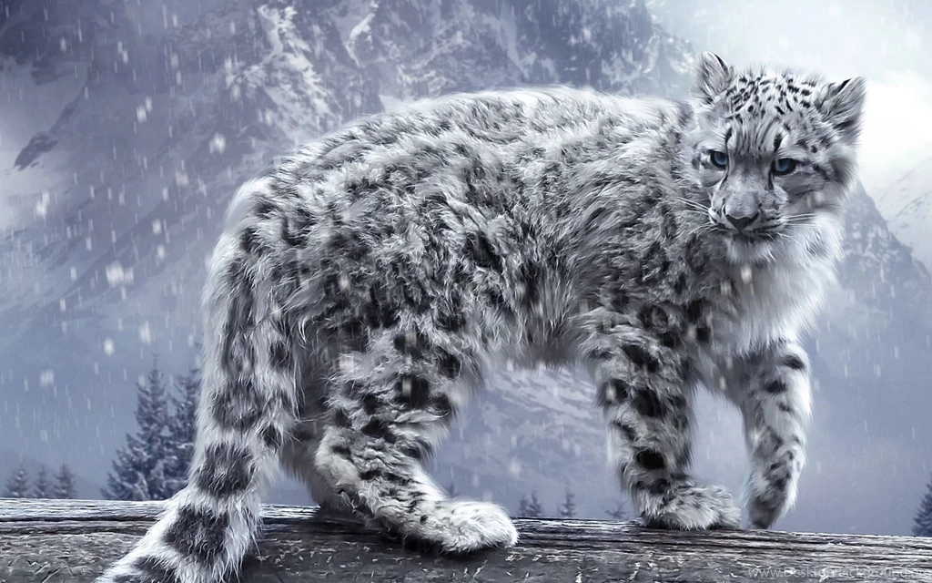 Snow Leopard HD Wallpapers 2.jpg