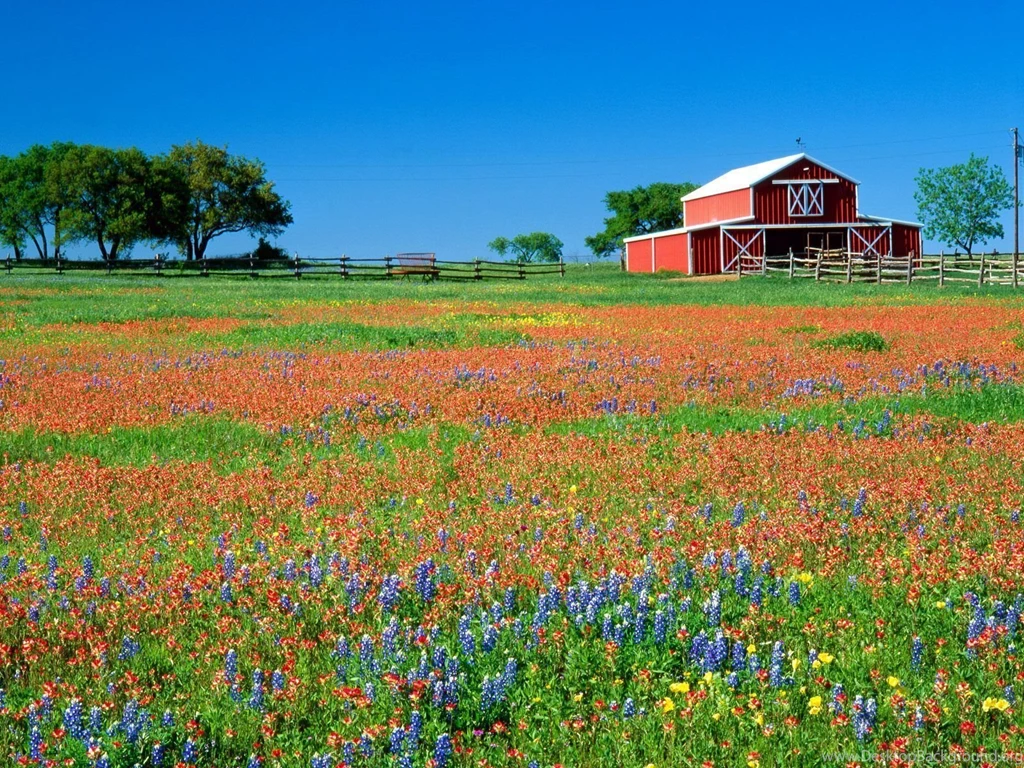 Texas Desktop Wallpapers HD Wallpaper Backgrounds Of Your Choice