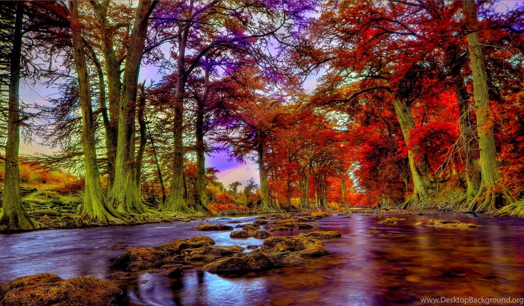 GUADALUPE RIVER,TEXAS >> HD Wallpaper, Get It Now!