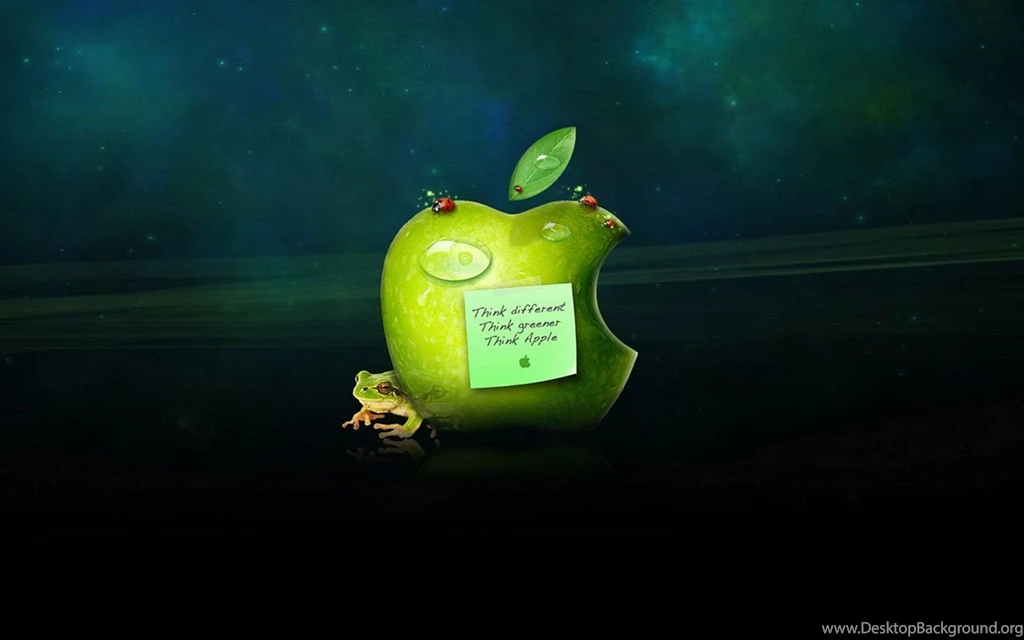 Very Funny HD Backgrounds ~ Wallpapers & Pictures
