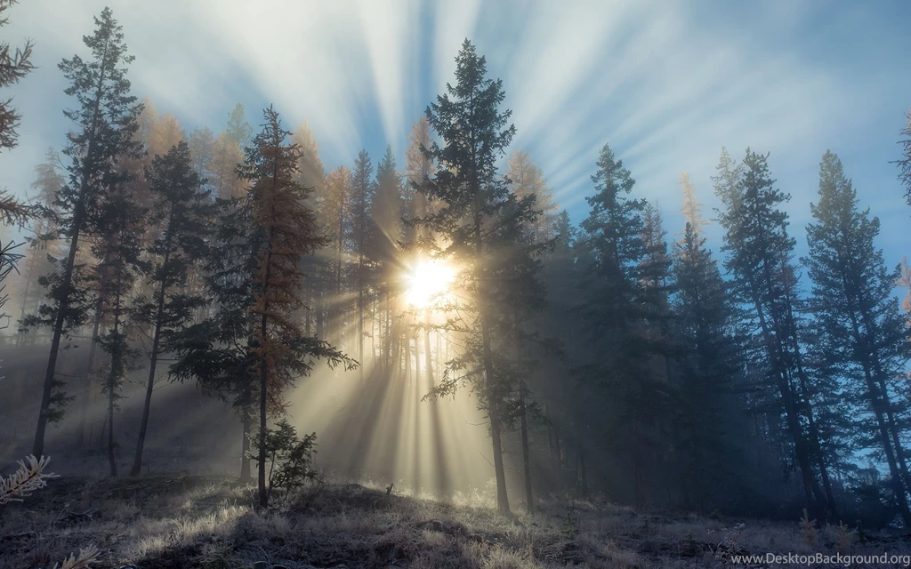 InterfaceLIFT: 2560x1600 Wallpapers Sorted By Rating