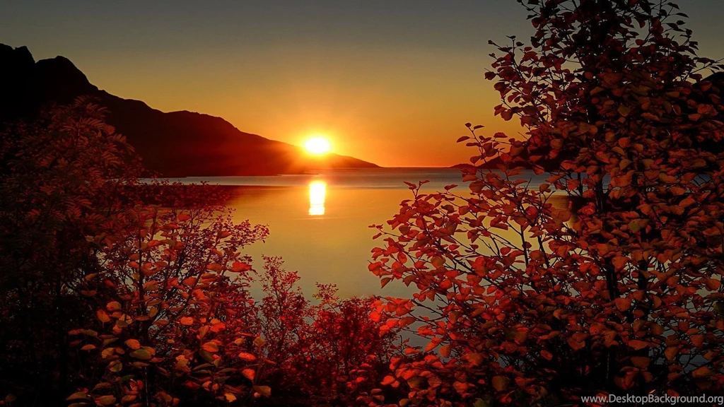 Autumn Wallpaper_hd Wallpaper_download Free Wallpapers