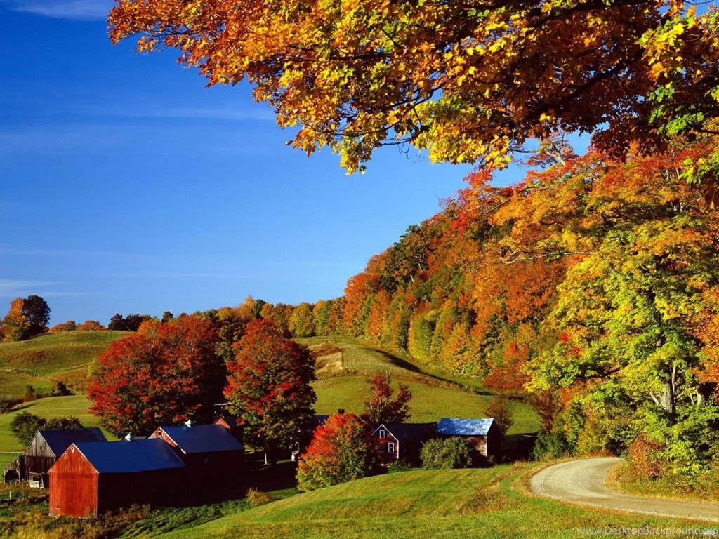 Landscapes Woodstock in Autumn Vermont.jpg