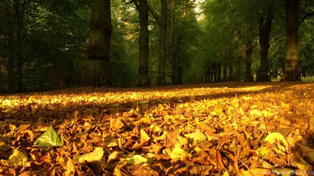 Top Windows Autumn Desktop Background Images For Pinterest