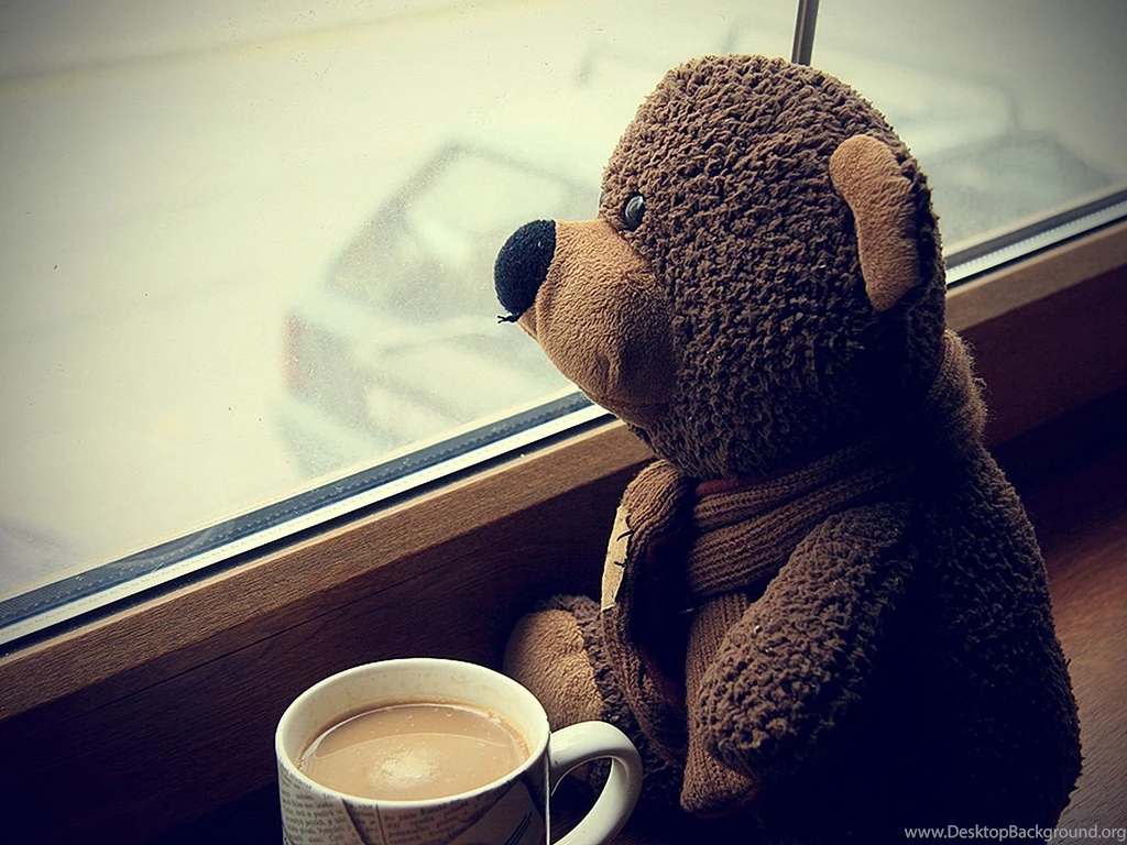Happy Teddy Day 2016 HD Wallpapers Happy Valentine's Day 2016 ...