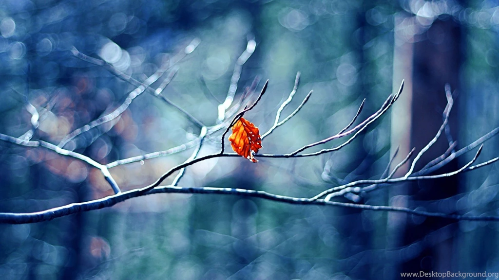 Mac Winter Wallpapers