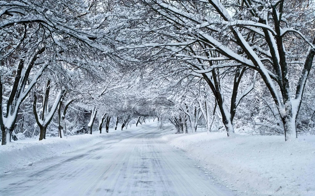 Snow Day Hd Wallpapers For Desktop Backgrounds Beraplan