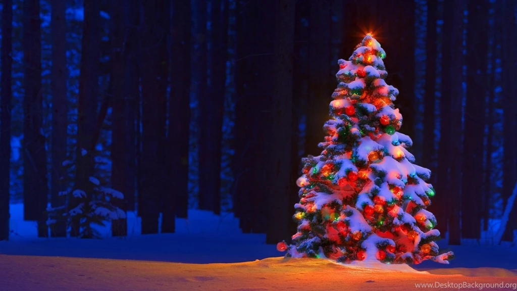 White Christmas Tree Lights Wallpapers – Happy Holidays