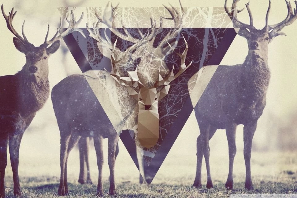 Magic Deer HD Desktop Wallpapers : Widescreen : High Definition ...