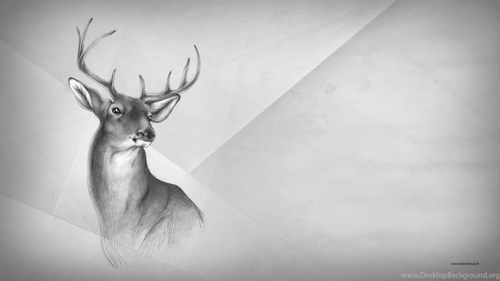 Tenlohuis Deer Wallpapers 1521154