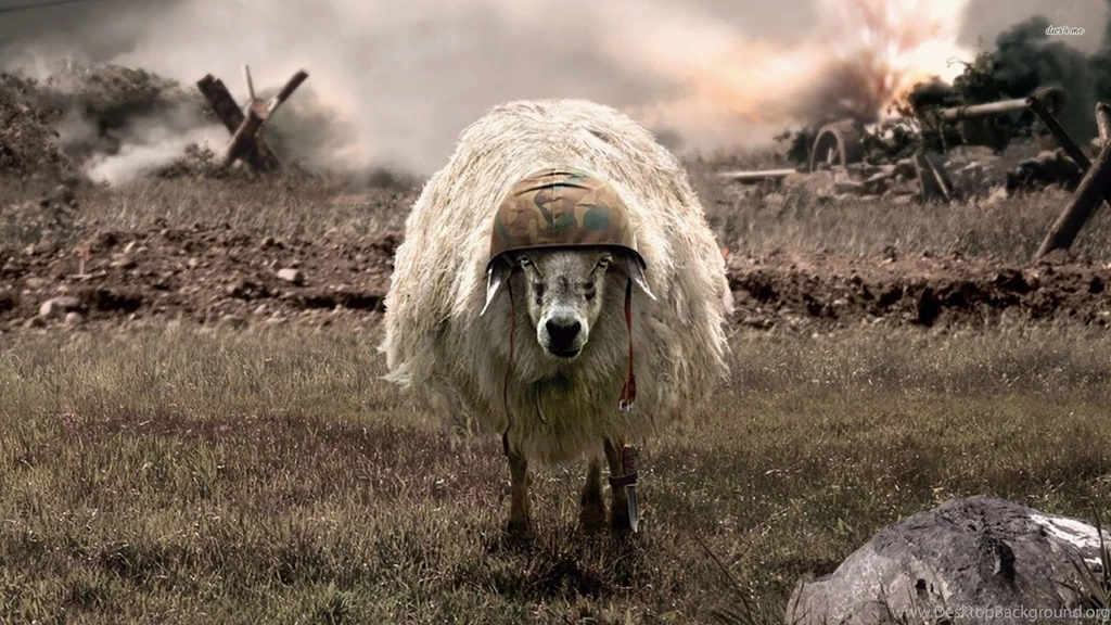 Soldier Sheep Wallpapers Digital Art Wallpapers