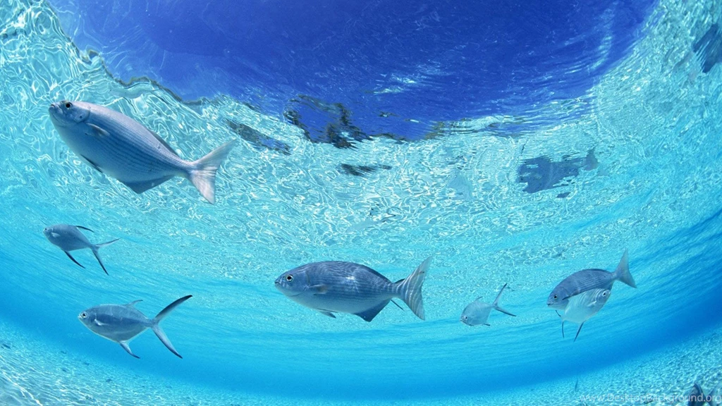 Underwater HD 1920x1080