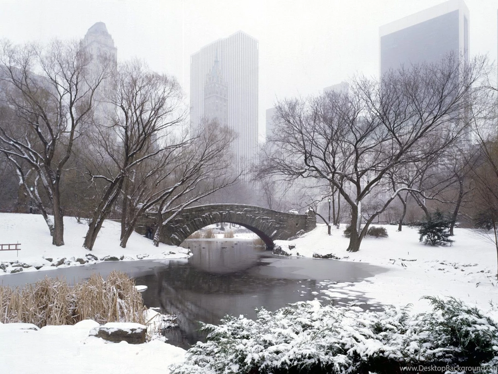 Nudysrdaase: Winter Desktop Wallpapers