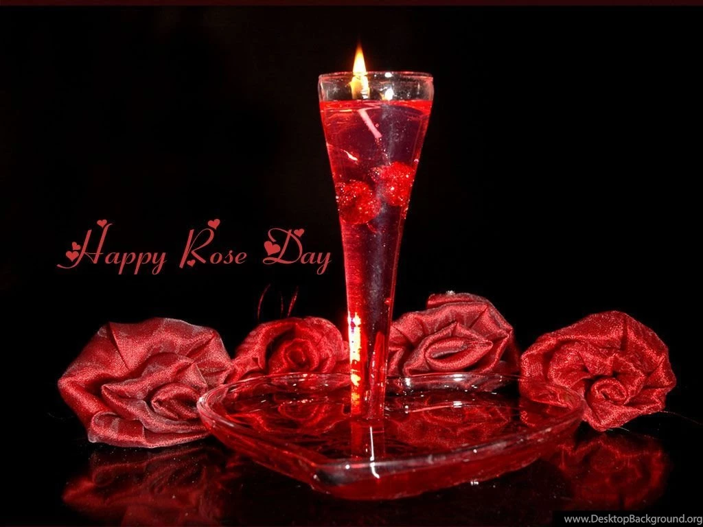 Happy Rose Day 2016 HD Wallpapers Happy Valentine's Day 2016 ...