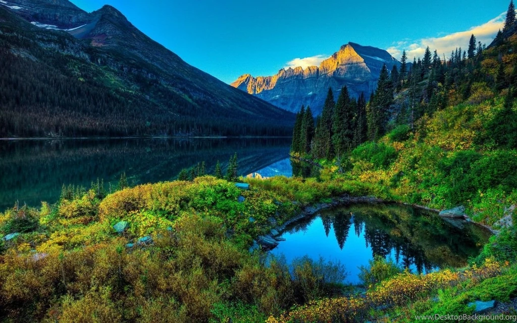 Dream Spring Hd Dream Spring Nature Landscapes Season Spring Hd ...