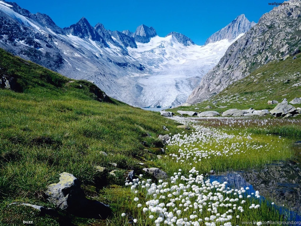 Spring Nature Wallpapers HD Wallpapers Lovely
