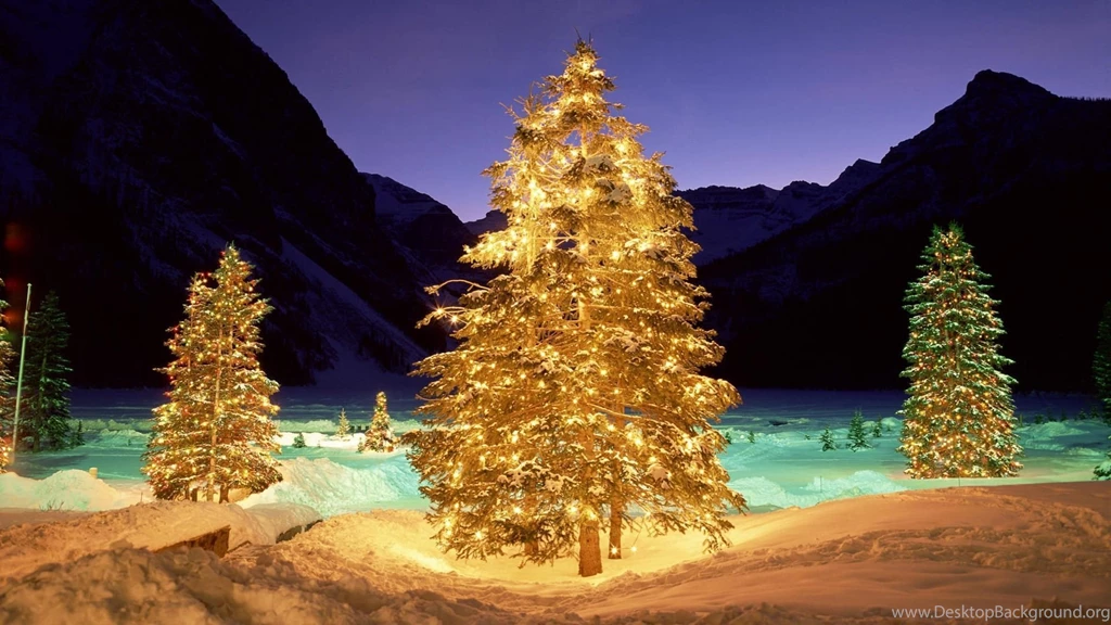 1920x1080 Christmas Trees In The Wild Desktop PC And Mac Wallpapers