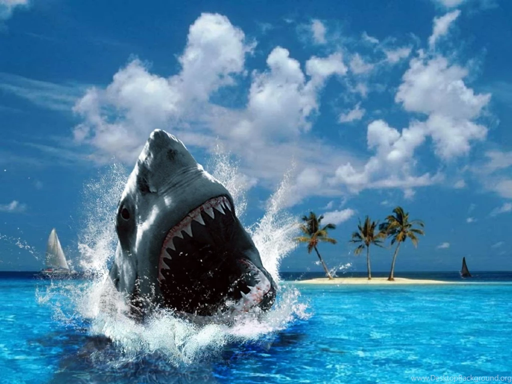 Hd Full Screen Wallpapers All Wallpapers New