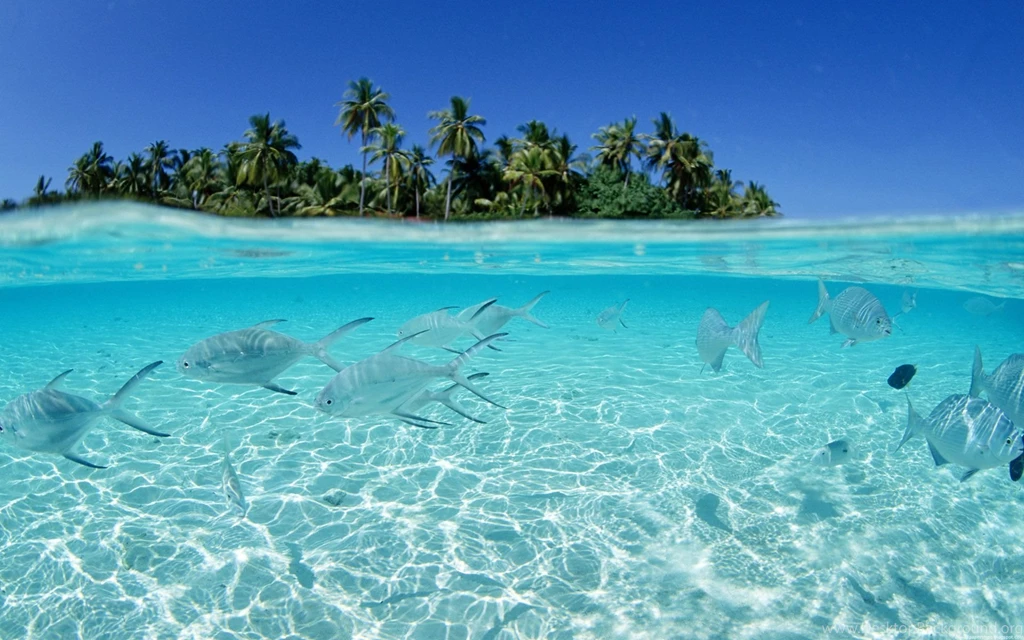 47 Marvelous Ocean Wallpapers Technosamrat