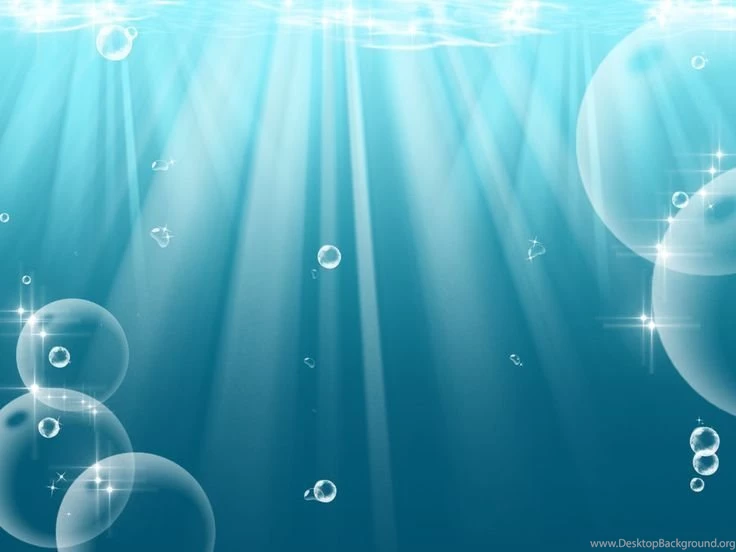 Under The Sea On Pinterest
