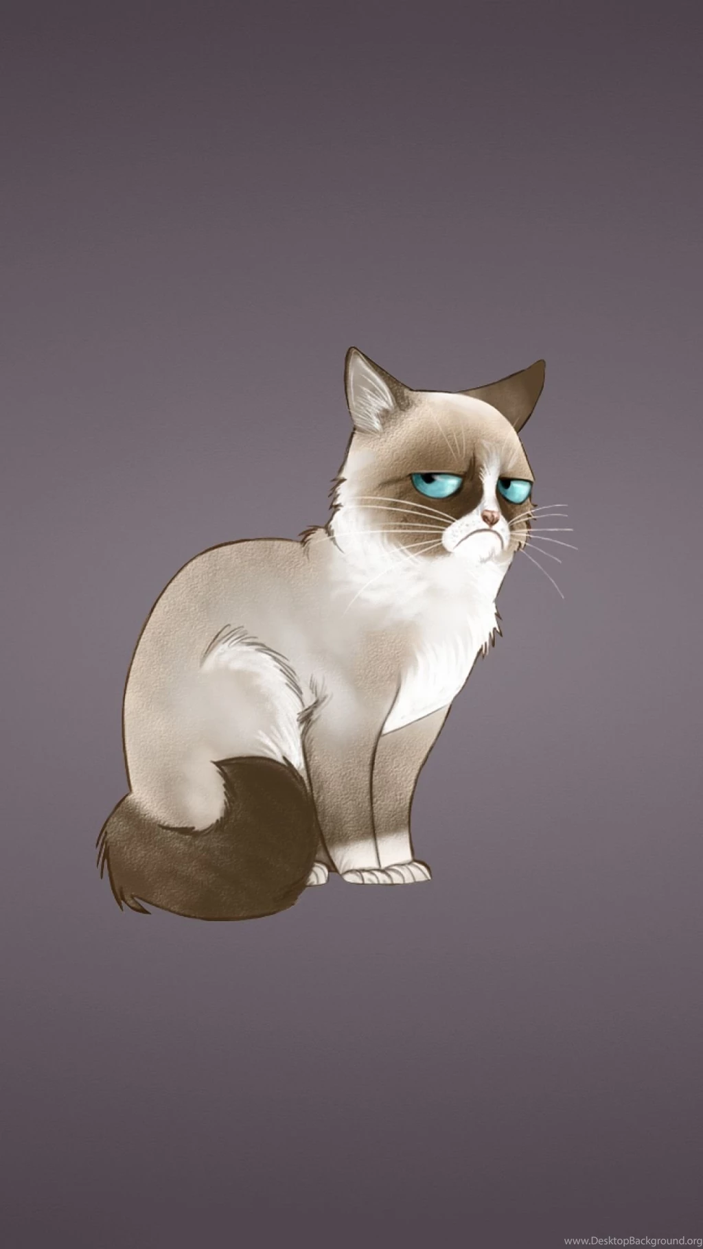 Sony Xperia Z1, ZL, Z, Samsung Galaxy S4, HTC One Grumpy Cat ...